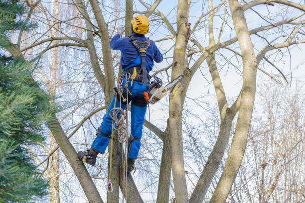 Best Lawn Watering Services  in Roslyn, NY
